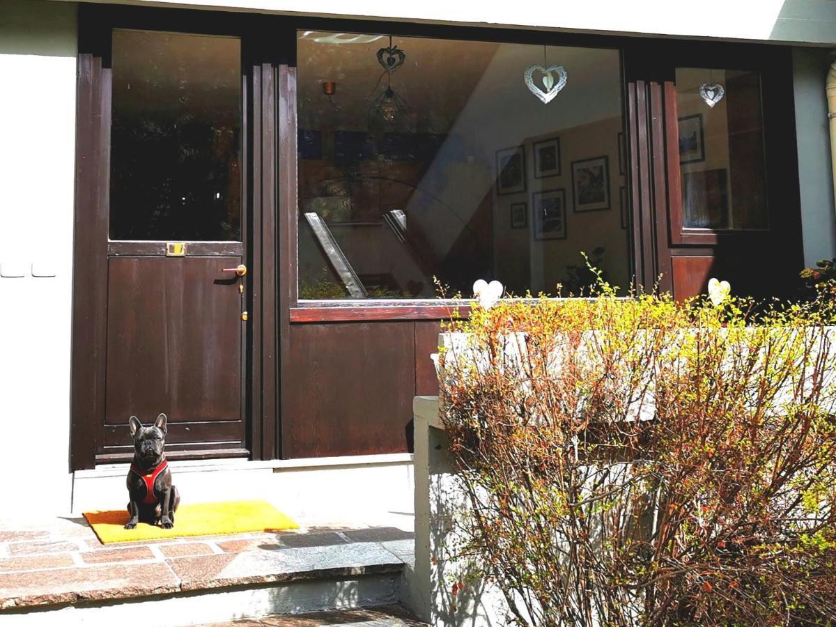 Dapolo - Cosy Appartment In Val Di Fassa Campestrin Exterior foto